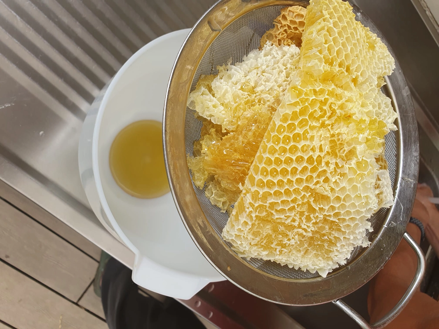 SFZ für Energie und Umwelt Pankow e.V. - Schülerforschungszentrum Pankow - Aufnahme von Projekten