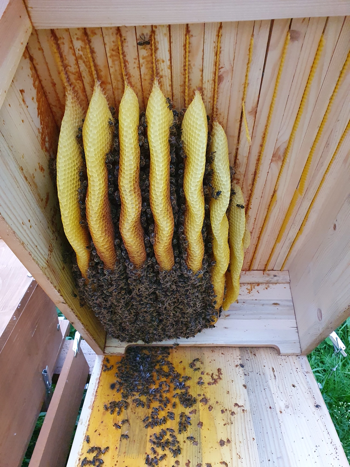 SFZ für Energie und Umwelt Pankow e.V. - Schülerforschungszentrum Pankow - Aufnahme von Projekten